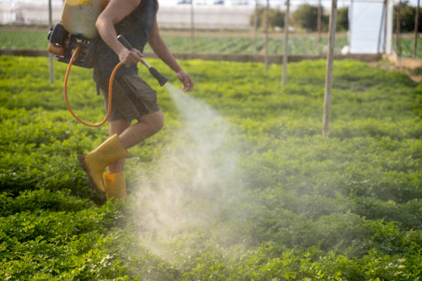Best Pest Removal Services  in Danvle, IL