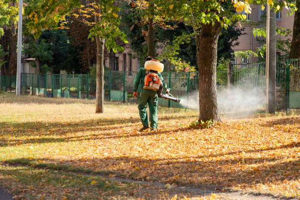 Best Exterminator Services  in Danvle, IL